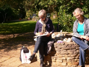 Wildlife Gardening Tutorials / Consultancy