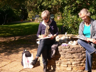 Wildlife Gardening Tutorials / Consultancy