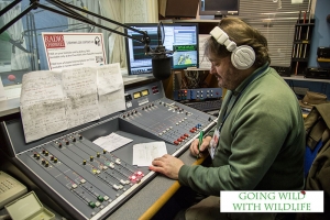 Audio &amp; Radio