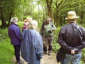 Sensory Workshops &amp; Walks